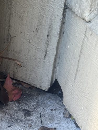 Pest-control-service-la-jolla-ca-suncoast-pest-management-updates-1-12-2026-9