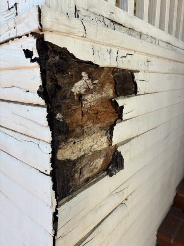 Pest-control-service-la-jolla-ca-suncoast-pest-management-updates-1-19-2025-001