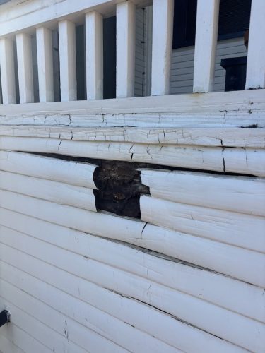 Pest-control-service-la-jolla-ca-suncoast-pest-management-updates-1-19-2025-002