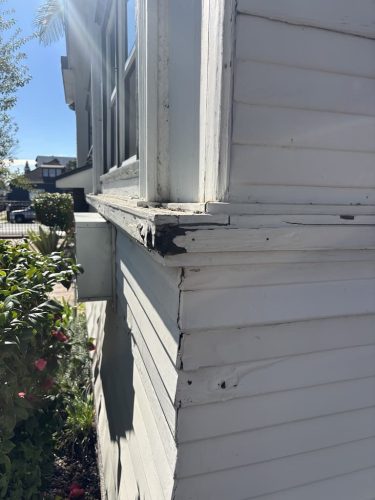 Pest-control-service-la-jolla-ca-suncoast-pest-management-updates-1-19-2025-003