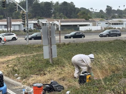 Pest-control-service-la-jolla-ca-suncoast-pest-management-updates-10-13-2025-7