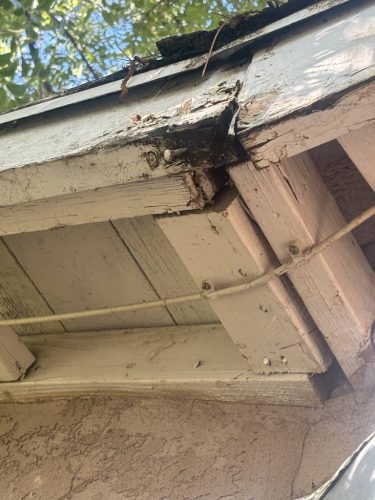 Pest-control-service-la-jolla-ca-suncoast-pest-management-updates-10-20-2025-002