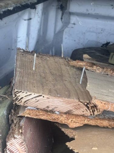 Pest-control-service-la-jolla-ca-suncoast-pest-management-updates-10-20-2025-004