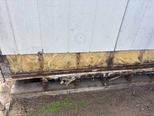 Pest-control-service-la-jolla-ca-suncoast-pest-management-updates-10-20-2025-005