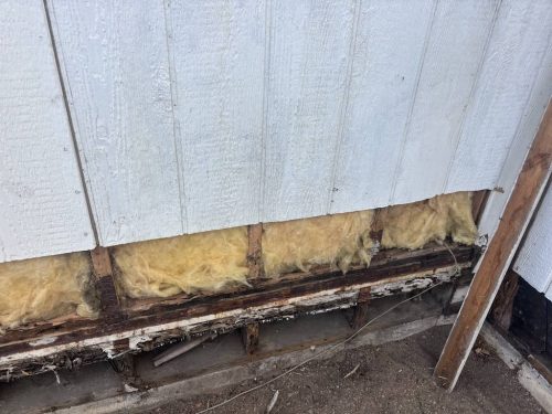 Pest-control-service-la-jolla-ca-suncoast-pest-management-updates-10-20-2025-006