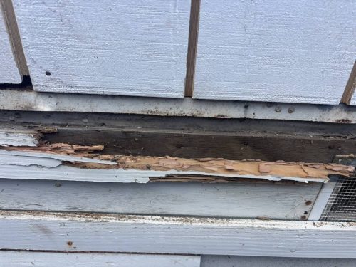 Pest-control-service-la-jolla-ca-suncoast-pest-management-updates-10-20-2025-007