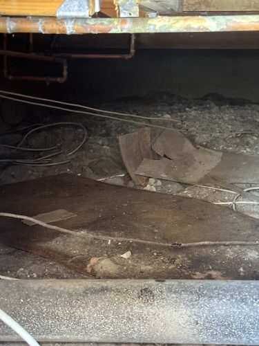 Pest-control-service-la-jolla-ca-suncoast-pest-management-updates-10-20-2025-008