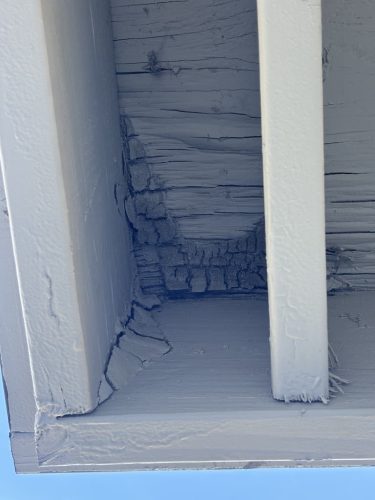 Pest-control-service-la-jolla-ca-suncoast-pest-management-updates-12-22-2025-1