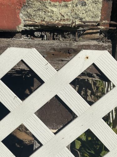 Pest-control-service-la-jolla-ca-suncoast-pest-management-updates-12-22-2025-3