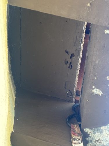 Pest-control-service-la-jolla-ca-suncoast-pest-management-updates-12-22-2025-6