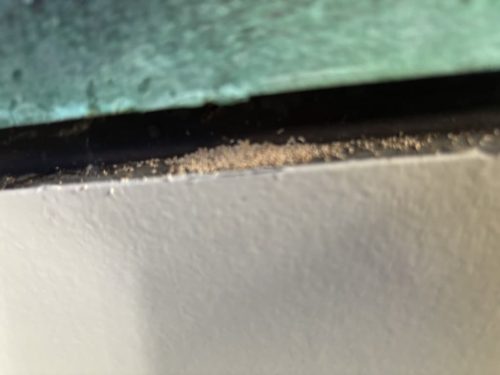 Pest-control-service-la-jolla-ca-suncoast-pest-management-updates-2-16-2026-004