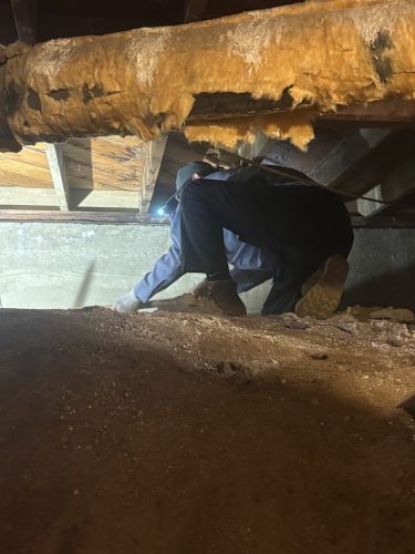 Pest-control-service-la-jolla-ca-suncoast-pest-management-updates-3-23-2026-002