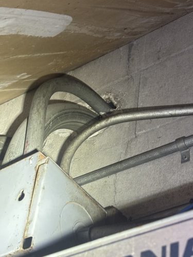 Pest-control-service-la-jolla-ca-suncoast-pest-management-updates-3-9-2026-002