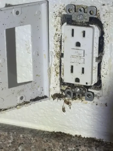 Pest-control-service-la-jolla-ca-suncoast-pest-management-updates-3-9-2026-005
