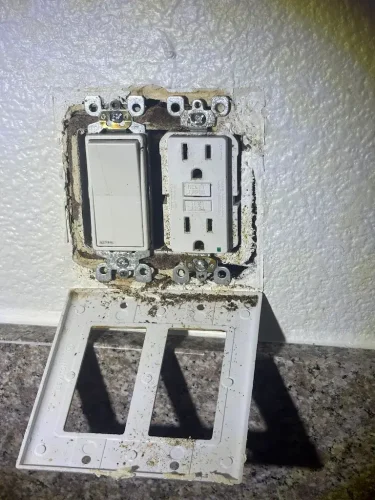 Pest-control-service-la-jolla-ca-suncoast-pest-management-updates-3-9-2026-006