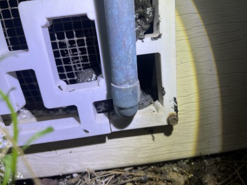 Pest-control-service-la-jolla-ca-suncoast-pest-management-updates-4-20-2026-1