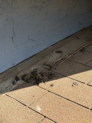 Pest-control-service-la-jolla-ca-suncoast-pest-management-updates-4-20-2026-2