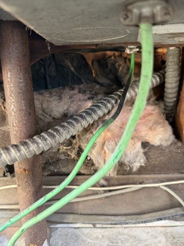 Pest-control-service-la-jolla-ca-suncoast-pest-management-updates-5-11-2026-2