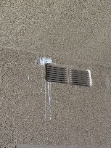 Pest-control-service-la-jolla-ca-suncoast-pest-management-updates-5-11-2026-3