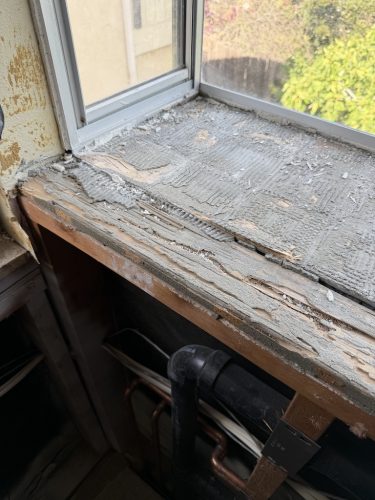 Pest-control-service-la-jolla-ca-suncoast-pest-management-updates-5-11-2026-4