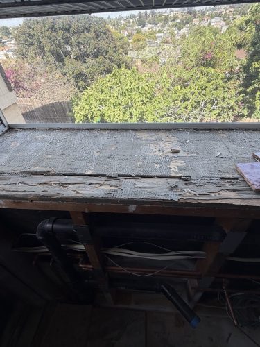 Pest-control-service-la-jolla-ca-suncoast-pest-management-updates-5-11-2026-5