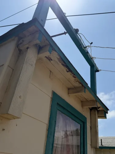 Pest-control-service-la-jolla-ca-suncoast-pest-management-updates-5-25-2026-001