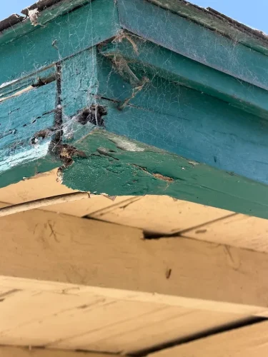 Pest-control-service-la-jolla-ca-suncoast-pest-management-updates-5-25-2026-002