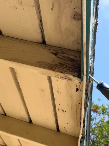 Pest-control-service-la-jolla-ca-suncoast-pest-management-updates-5-25-2026-004