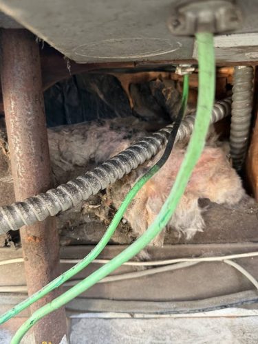 Pest-control-service-la-jolla-ca-suncoast-pest-management-updates-5-4-2026-1