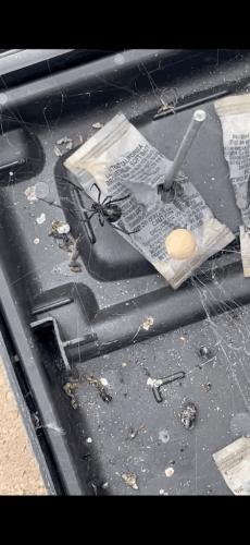Pest-control-service-la-jolla-ca-suncoast-pest-management-updates-5-4-2026-4
