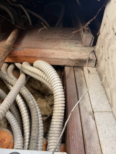 Pest-control-service-la-jolla-ca-suncoast-pest-management-updates-5-4-2026-6