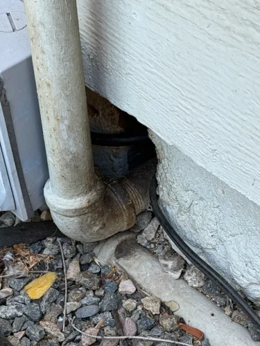 Pest-control-service-la-jolla-ca-suncoast-pest-management-updates-6-1-2026-001