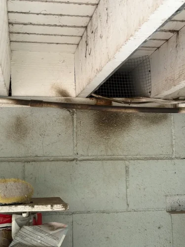 Pest-control-service-la-jolla-ca-suncoast-pest-management-updates-6-1-2026-002