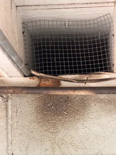 Pest-control-service-la-jolla-ca-suncoast-pest-management-updates-6-1-2026-004