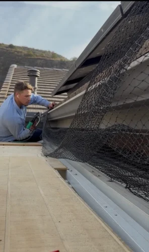 Pest-control-service-la-jolla-ca-suncoast-pest-management-updates-6-1-2026-007