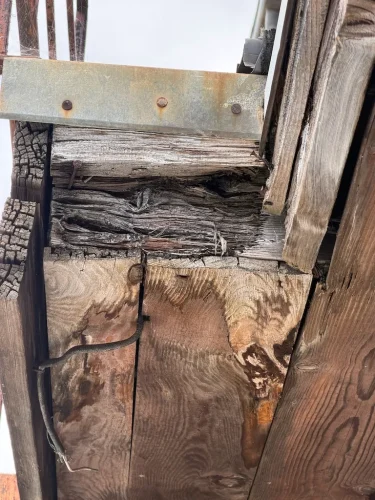 Pest-control-service-la-jolla-ca-suncoast-pest-management-updates-6-29-2026-006
