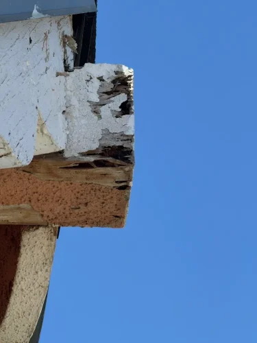 Pest-control-service-la-jolla-ca-suncoast-pest-management-updates-7-13-2026-002
