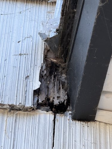 Pest-control-service-la-jolla-ca-suncoast-pest-management-updates-7-20-2026-4