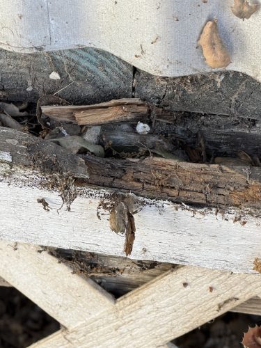 Pest-control-service-la-jolla-ca-suncoast-pest-management-updates-7-20-2026-6