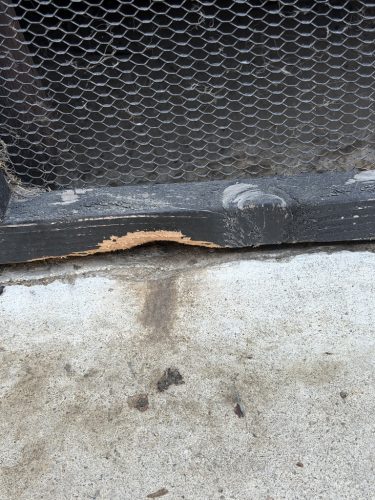 Pest-control-service-la-jolla-ca-suncoast-pest-management-updates-8-10-2026-3