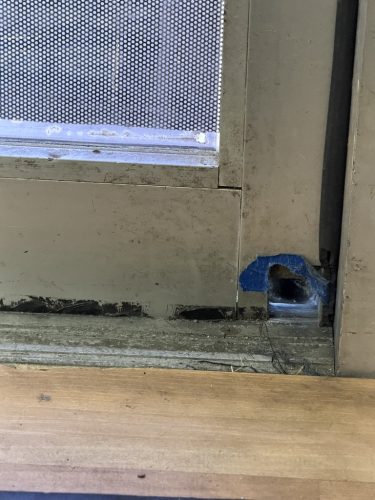 Pest-control-service-la-jolla-ca-suncoast-pest-management-updates-8-3-2026-1