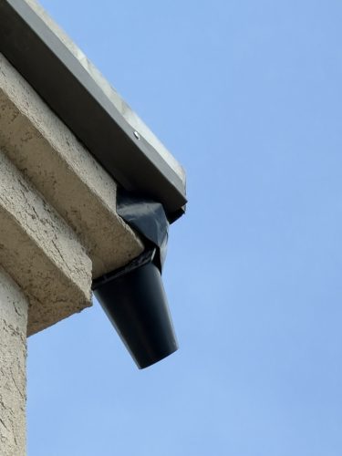 Pest-control-service-la-jolla-ca-suncoast-pest-management-updates-8-3-2026-3