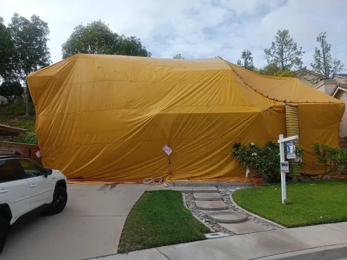 Pest-control-service-pacific-beach-san-diego-ca-suncoast-pest-management-updates-10-5-2026-001