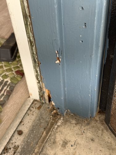 Pest-control-service-pacific-beach-san-diego-ca-suncoast-pest-management-updates-8-31-2026-4