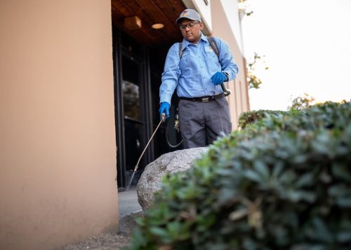 pest-control-la-jolla-ca-gallery-page-images-7-21-2025-11