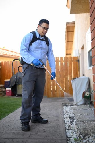 pest-control-la-jolla-ca-gallery-page-images-7-21-2025-13