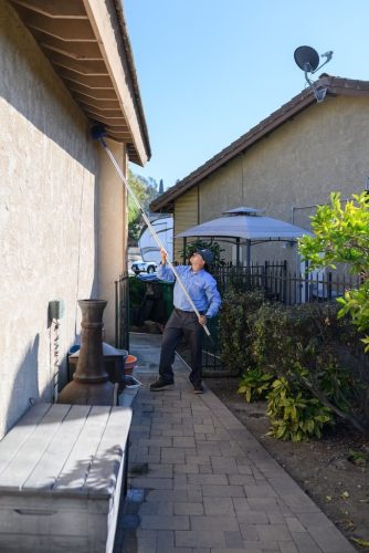 pest-control-la-jolla-ca-gallery-page-images-7-21-2025-14