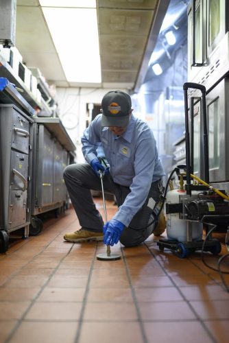pest-control-la-jolla-ca-gallery-page-images-7-21-2025-18