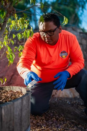 pest-control-la-jolla-ca-gallery-page-images-7-21-2025-7