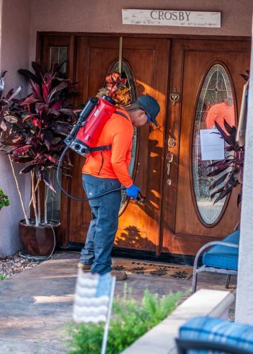 pest-control-la-jolla-ca-gallery-page-images-7-21-2025-8
